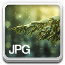 jpg file icon